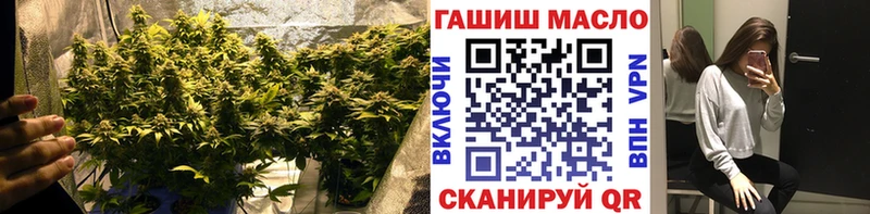 наркота  Муром  ТГК гашишное масло 