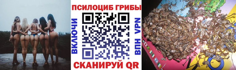 купить наркотик  Муром  Псилоцибиновые грибы мухоморы 