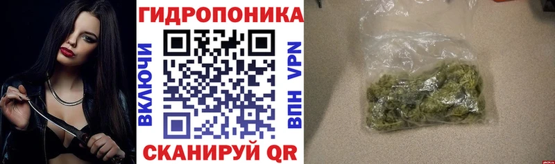 МАРИХУАНА OG Kush Муром